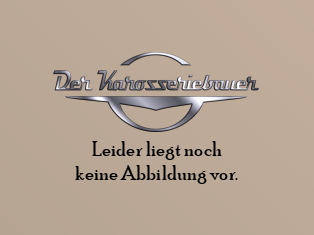 Einstiegsschiene links Cabrio B